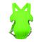 Fruit green